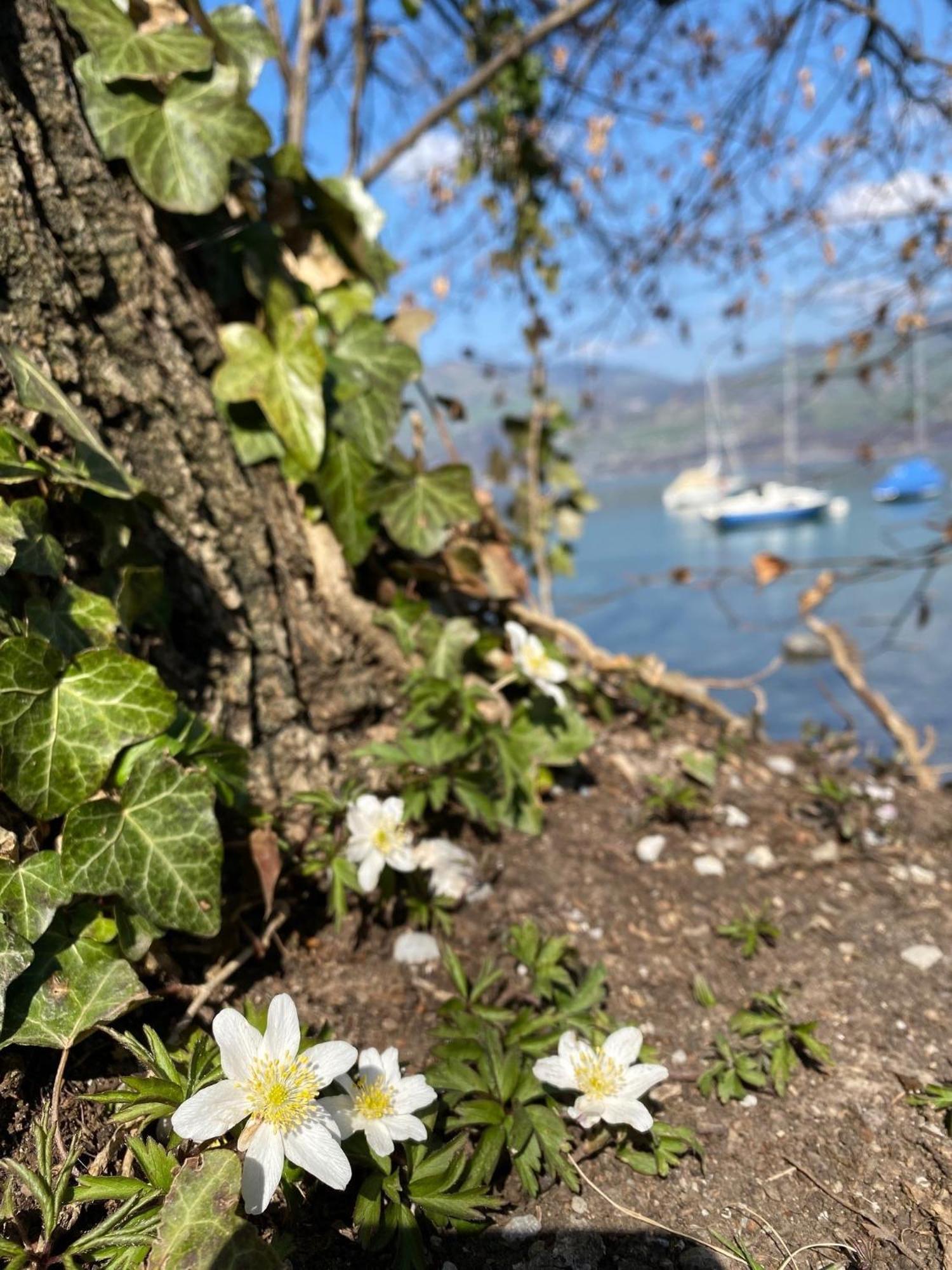 Hotel Seaside Spiez Εξωτερικό φωτογραφία